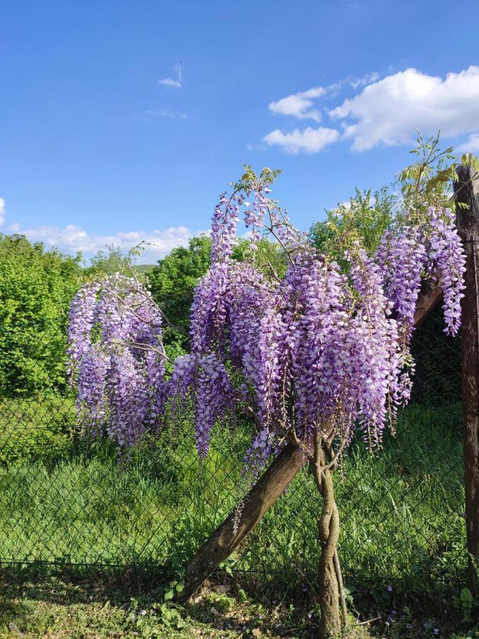 Podere Verdi Colline Poppi Eksteriør billede